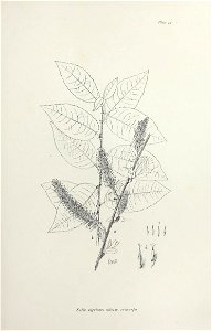 n96_w1150