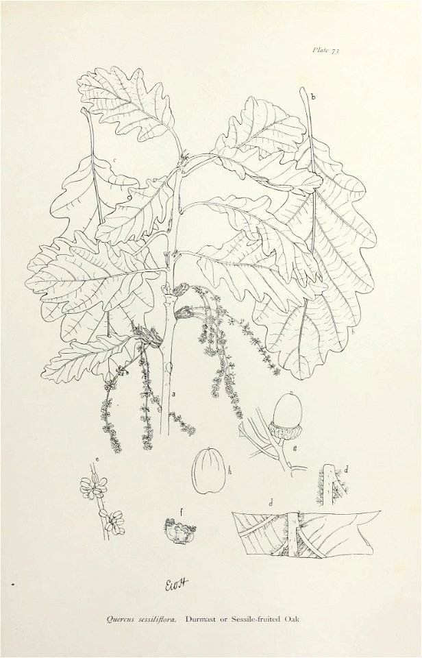 n156_w1150