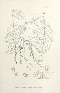 n156_w1150