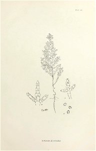 n422_w1150