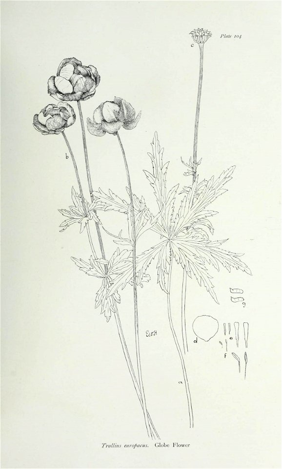 n218_w1150