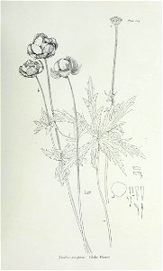 n218_w1150