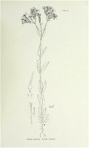 n158_w1150