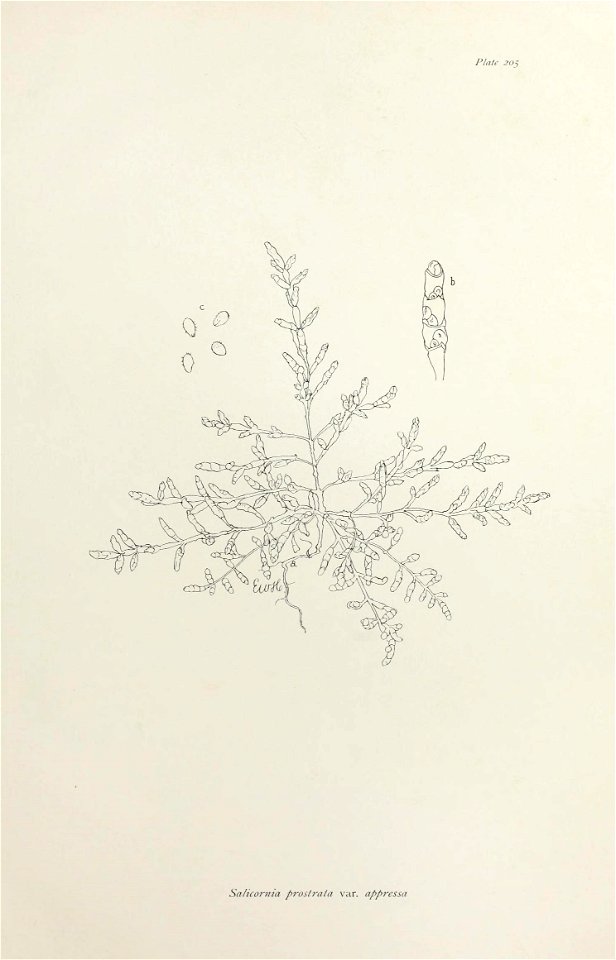 n420_w1150