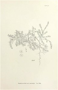 n390_w1150