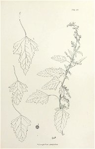 n330_w1150