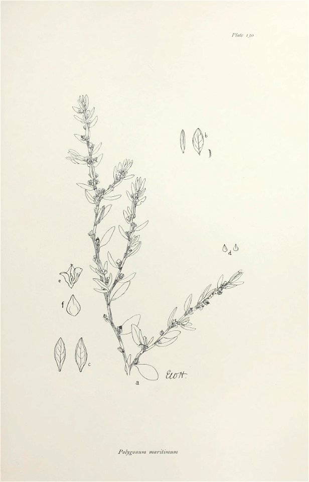 n270_w1150