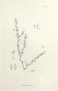 n270_w1150