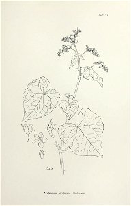 n240_w1150