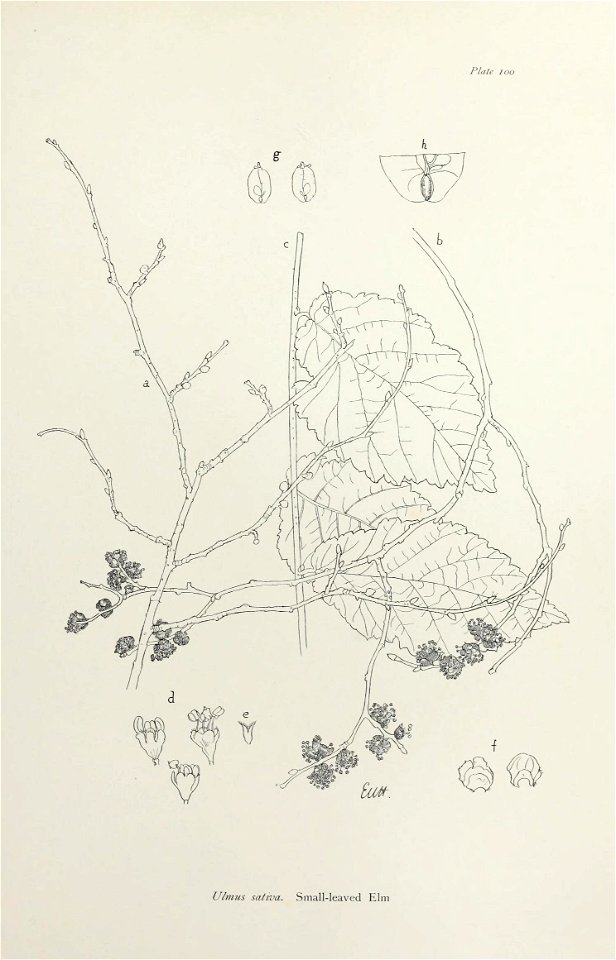 n210_w1150
