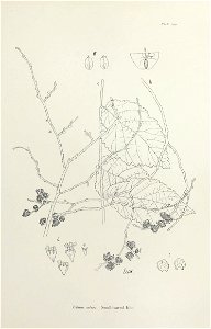n210_w1150
