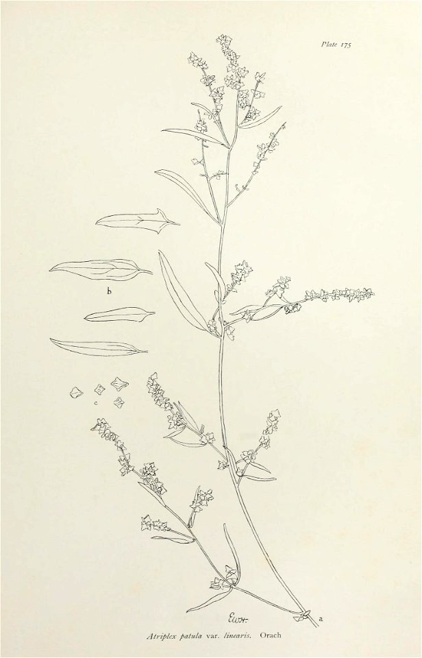 n360_w1150