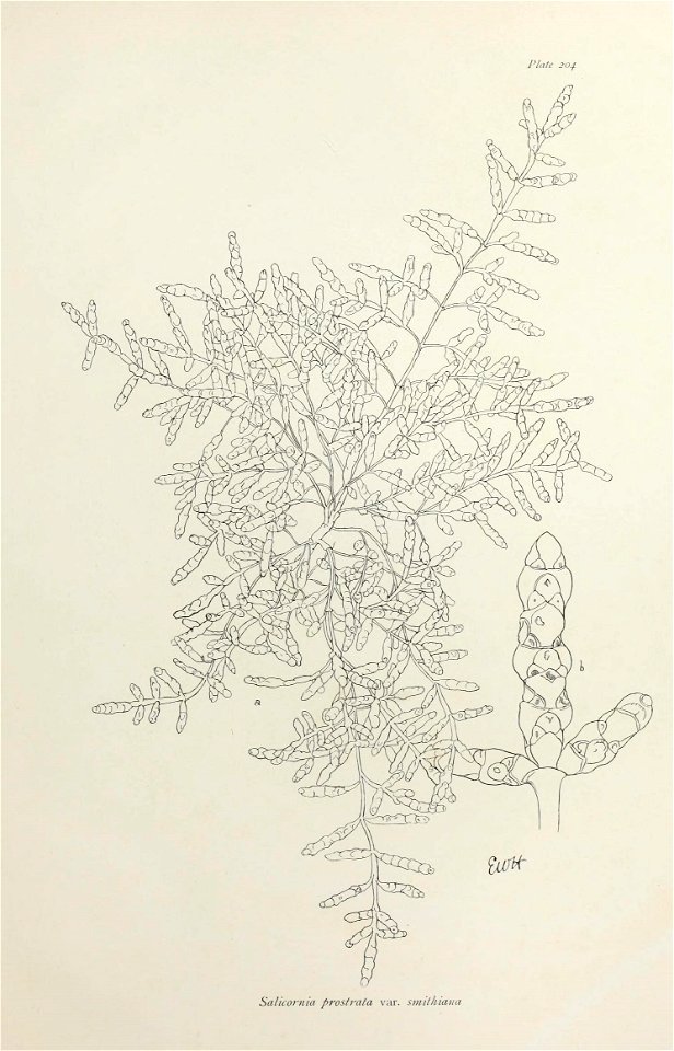 n418_w1150