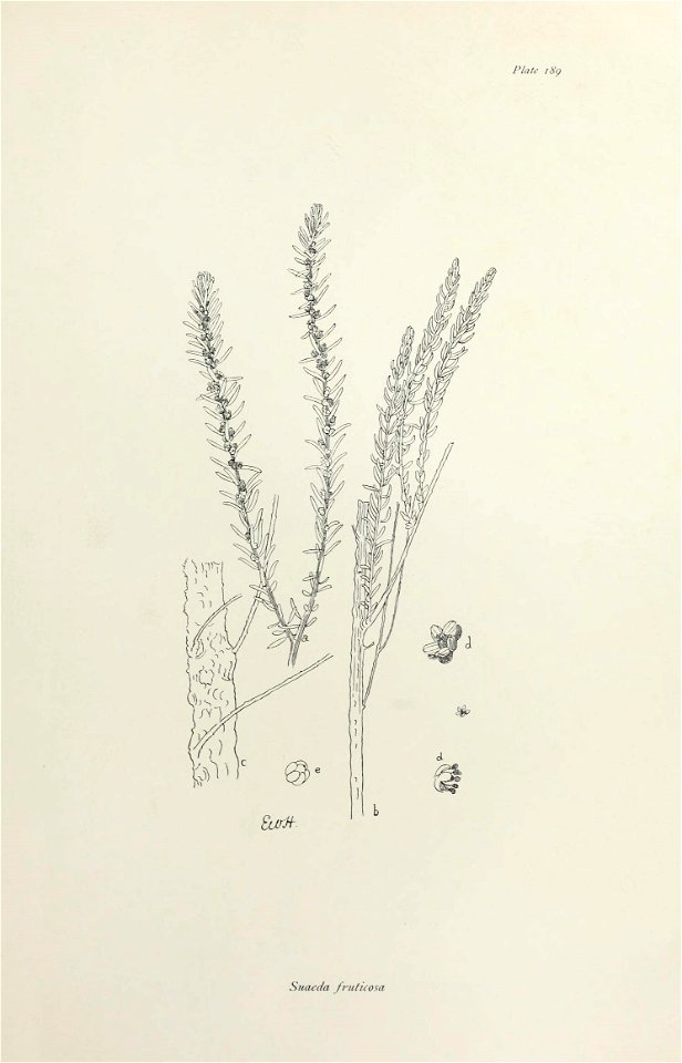 n388_w1150