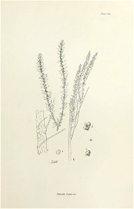 n388_w1150