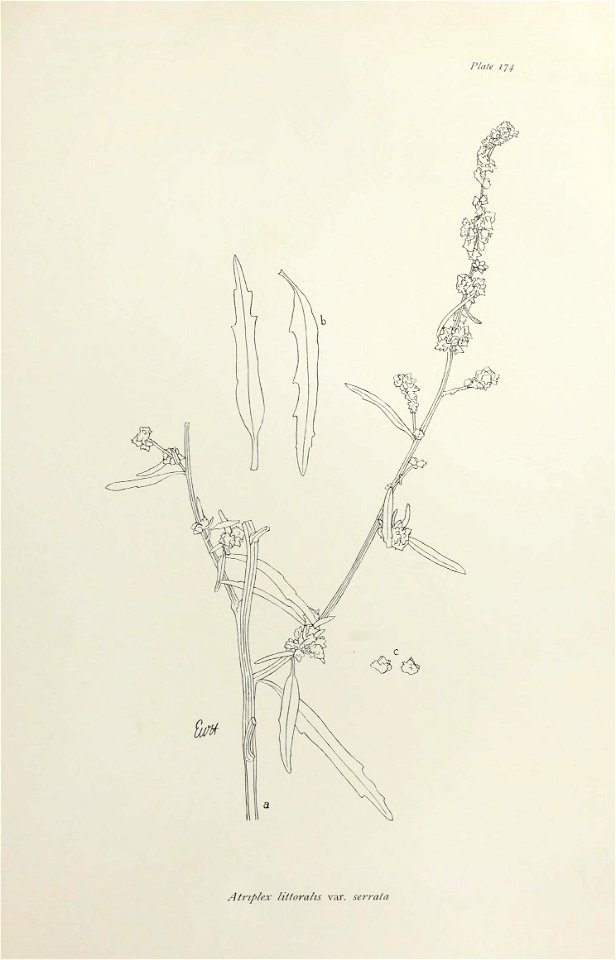 n358_w1150