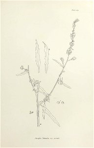 n358_w1150