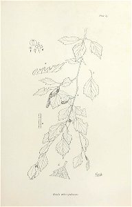 n178_w1150