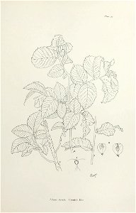n208_w1150