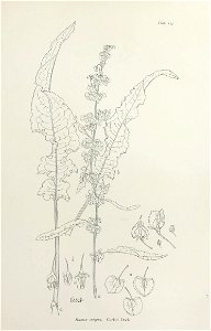 n298_w1150