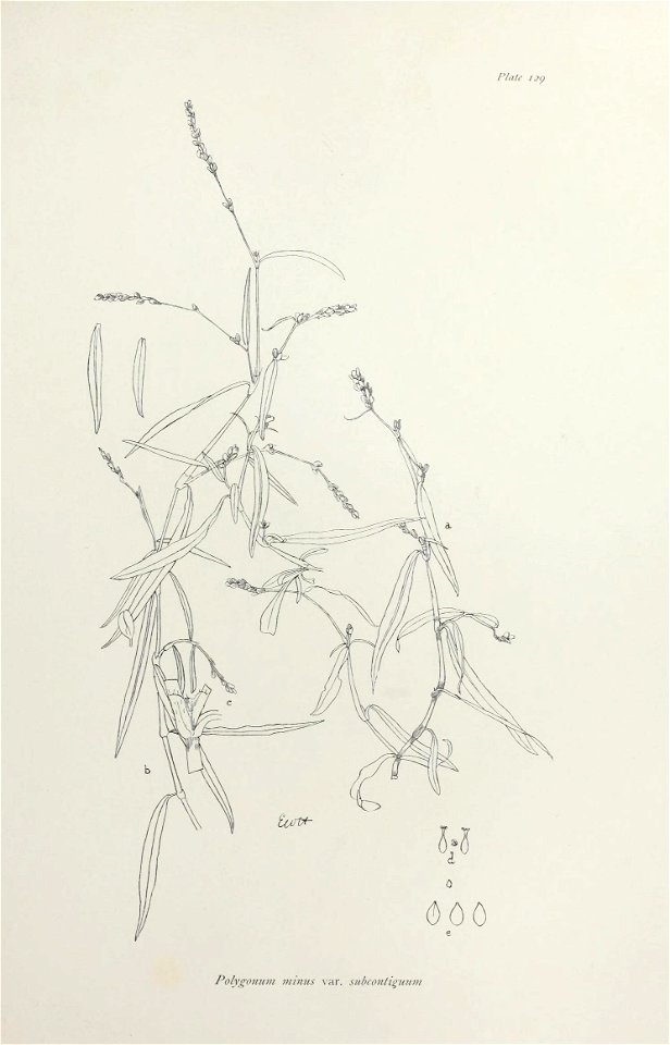 n268_w1150