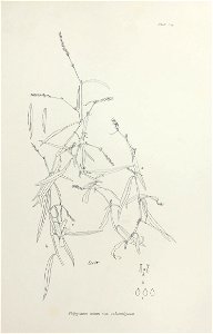n268_w1150