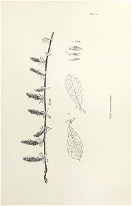 n118_w1150