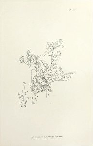 n88_w1150