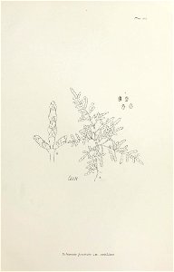 n416_w1150