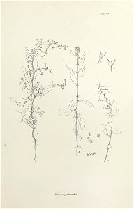 n386_w1150