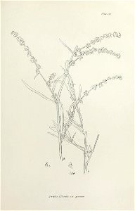 n356_w1150