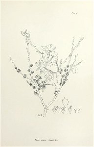 n206_w1150