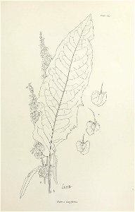 n296_w1150