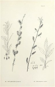 n146_w1150