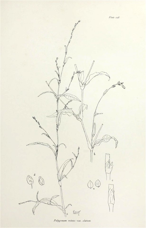 n266_w1150
