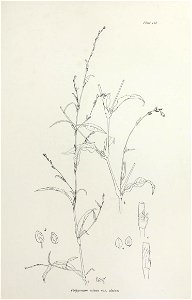 n266_w1150
