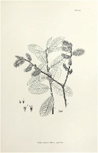 n116_w1150