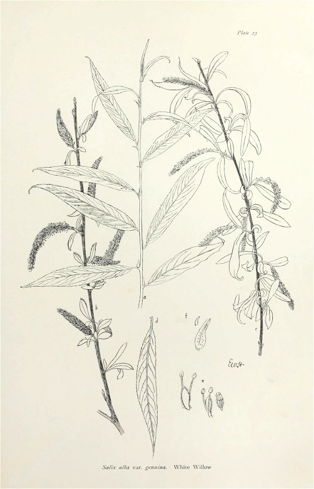 n56_w1150
