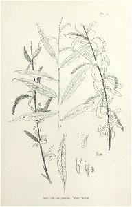 n56_w1150