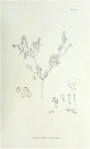 n392_w1150