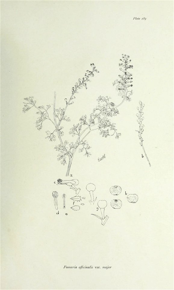 n390_w1150