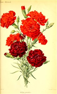 n522_w1150