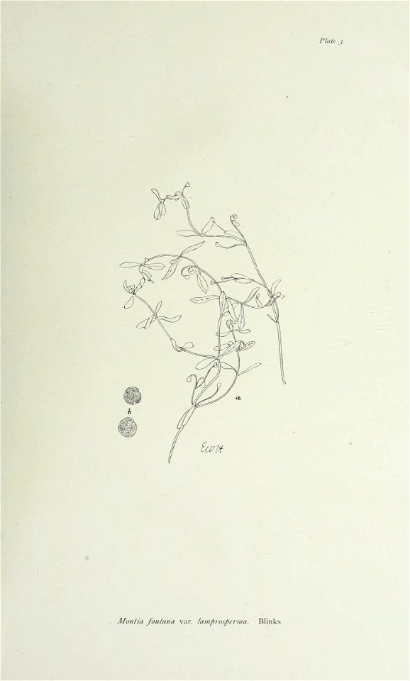 n16_w1150
