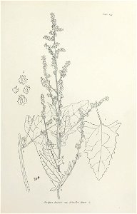 n368_w1150