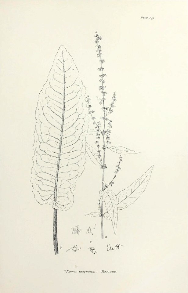 n308_w1150