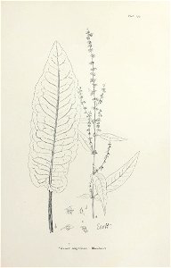 n308_w1150