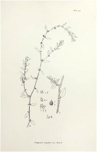 n278_w1150