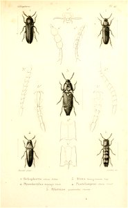 n136_w1150