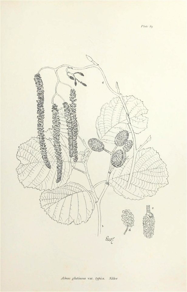 n188_w1150