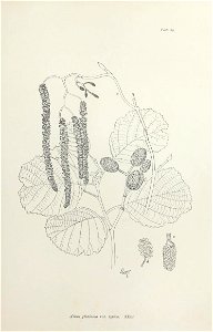 n188_w1150